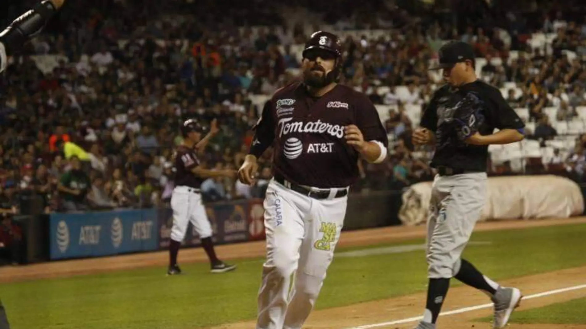 LMP Tomateros 1